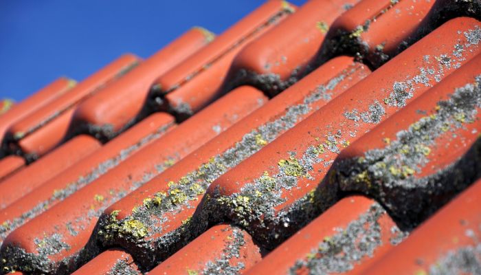 Démoussage et nettoyage de toiture à Antibes (06600) dans les Alpes-Maritimes (06)